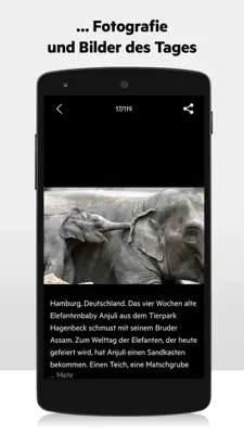 stern android App screenshot 15